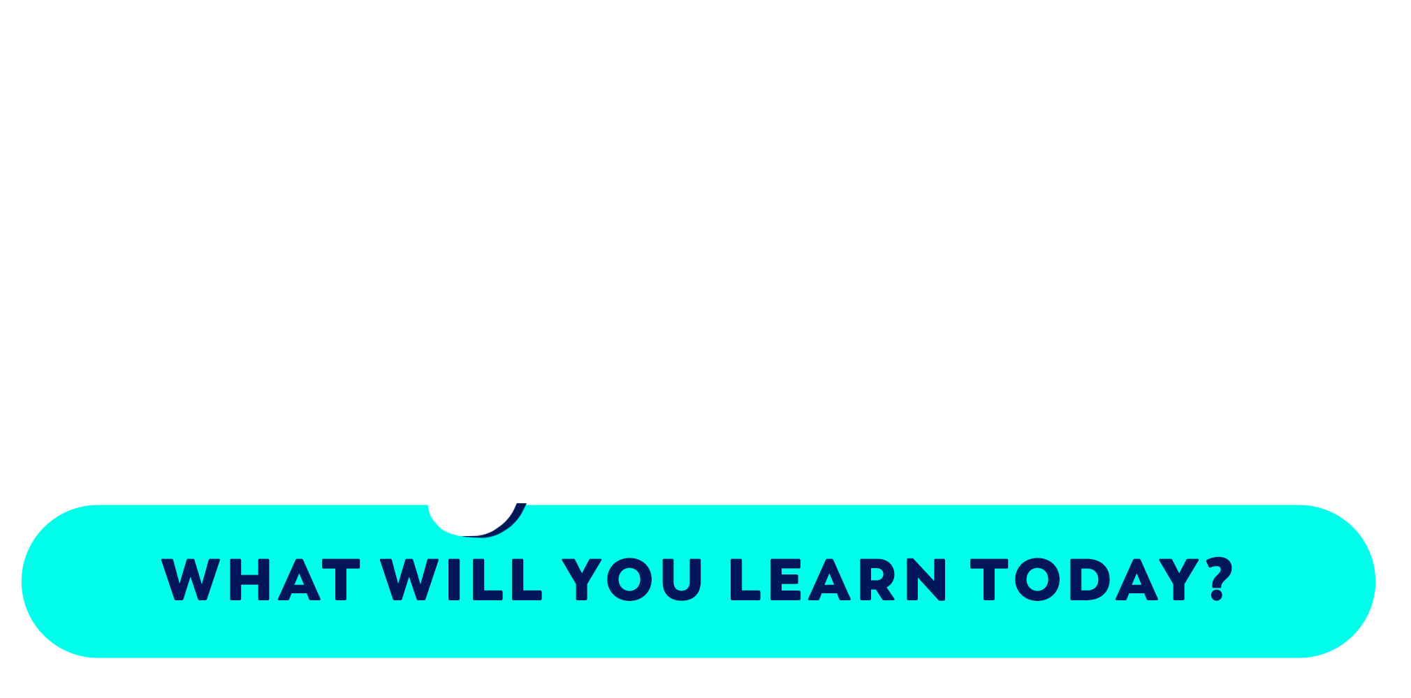 Edju Cat